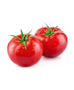 新鲜番茄 4个 约600克