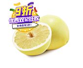 【12.12 Special offer】Pomelo