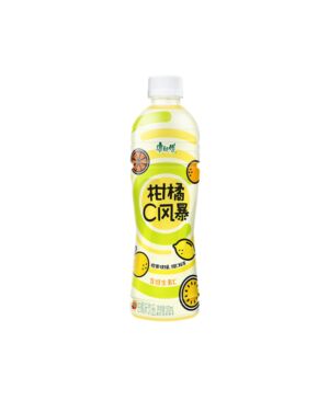 MASTER KONG Citrus Tea Drink 500ml