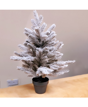 FROSTED GRANDIS MINI TREE
