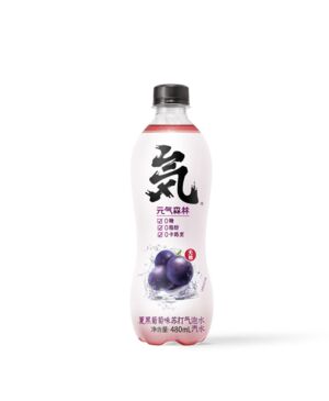 GKF Sparkling Water-Grape 480ml