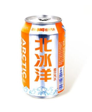 ARCTIC OCEAN Fizzy Drink - Orange Flavour 330ml