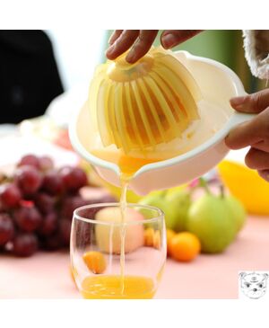 Plastic DIY Orange Lemon Squeezer Manual Press Citrus Fruit Juicer Kitchen Tool - White