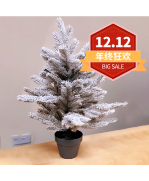 【12.12 Special offer】FROSTED GRANDIS MINI TREE