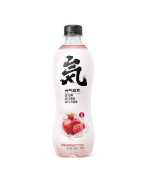 GKF Sparking Water-Pomegranate & Raspberry Flavour 480ml